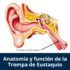 Trompa de Eustaquio