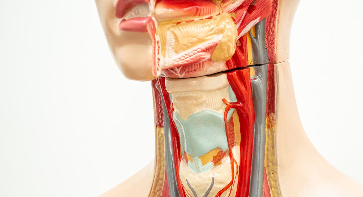 Microcirugia transoral laser CO2 cancer de cabeza y cuello